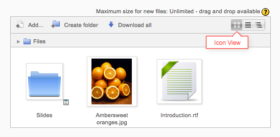 File picker icon view